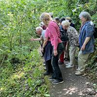 Botanische Führung im Herbst Botanische Führung im Herbst