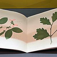 Luise Weinbrenner aus Söhnstetten Luise Weinbrenner aus Söhnstetten